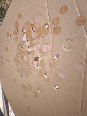 ipsc targets test